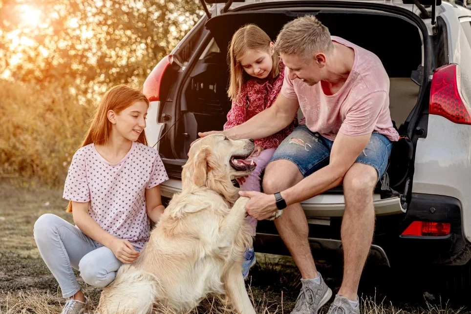 Road Trip Ready: Preventing Back Pain During Summer Travel Road Trip Ready: Preventing Back Pain During Summer Travel